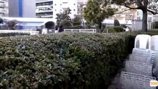 午夜色播免费视频在线⭕❌亚洲精品99久久久久中文字幕